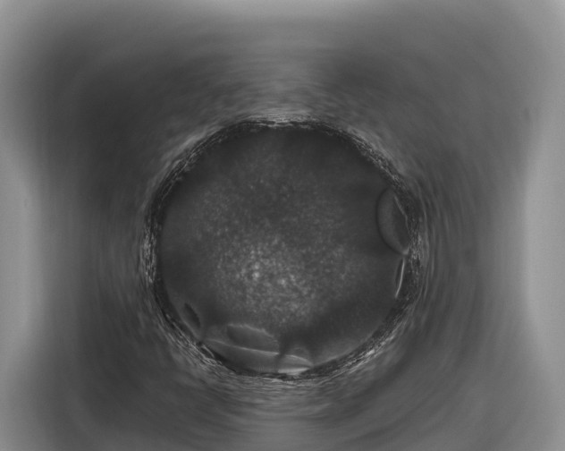 X0000116871398200912291310