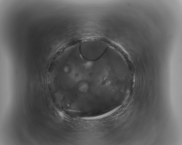 X0000116871399200912291310