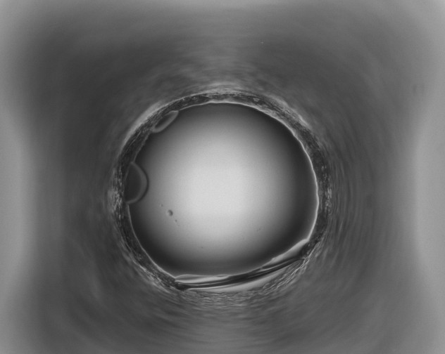 X0000116871400200912291310