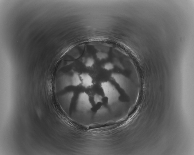 X0000116871401200912291310