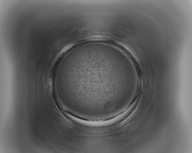 X0000116871402200912291310