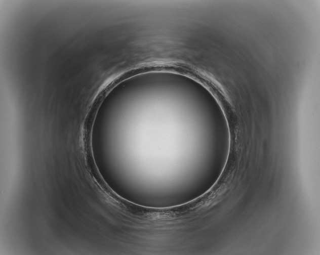X0000116871404200912291310