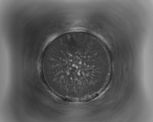 X0000116871405200912291310
