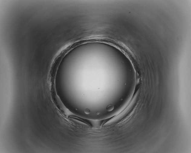 X0000116871406200912291310