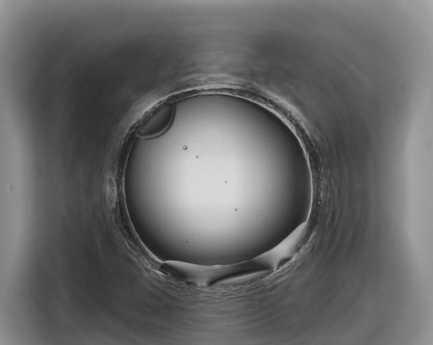 X0000116871407200912291310