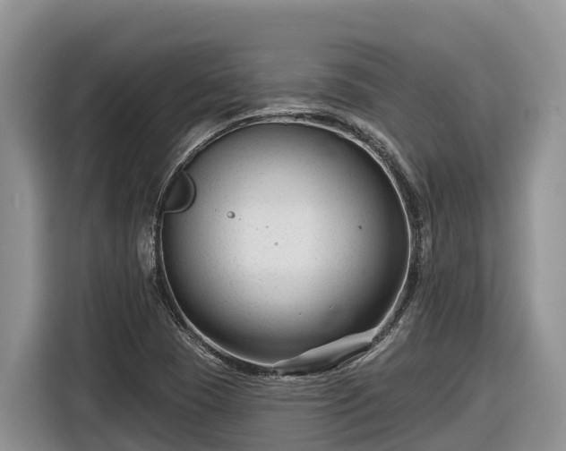 X0000116871409200912291310