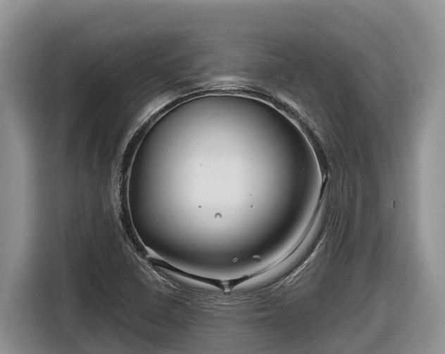 X0000116871410200912291310