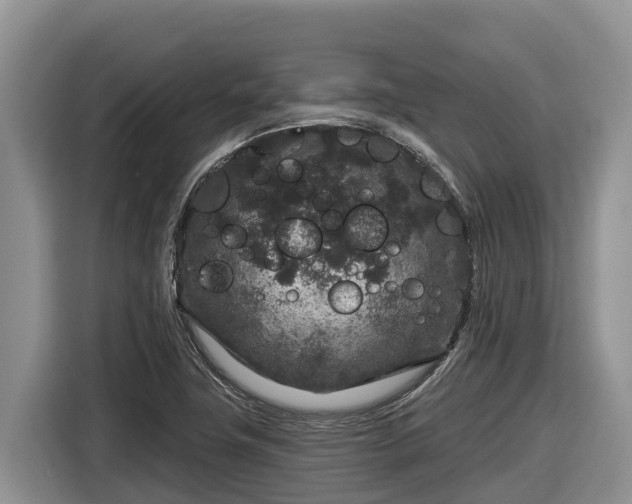 X0000116871411200912291310