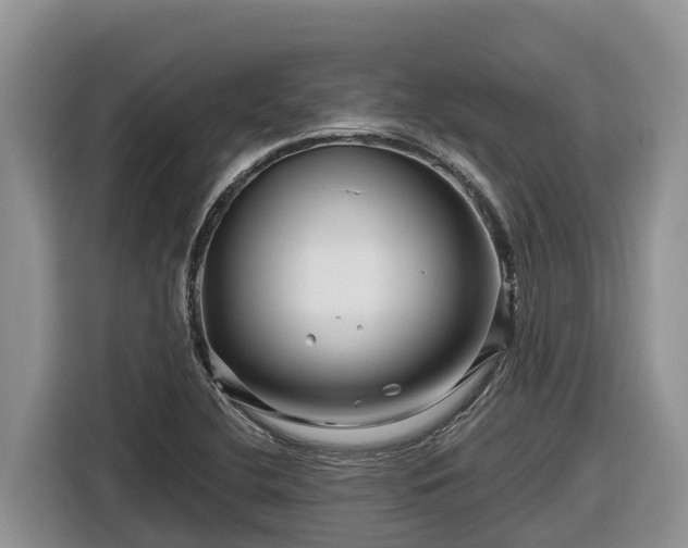 X0000116871412200912291310