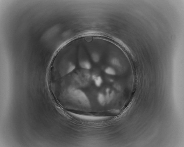 X0000116871413200912291310