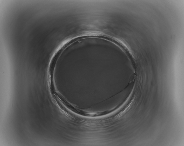 X0000116871414200912291310