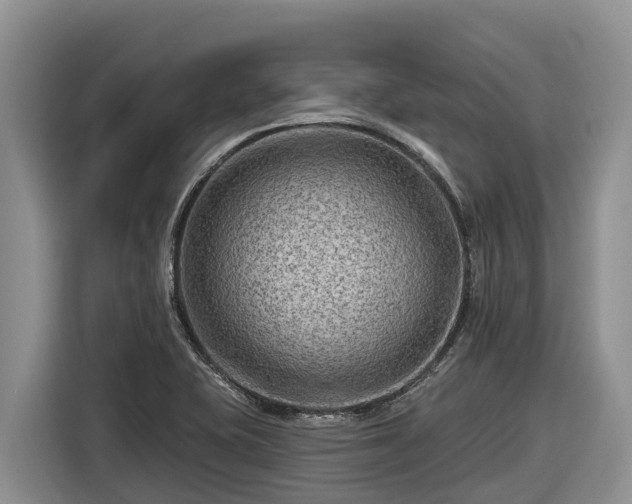 X0000116871415200912291310