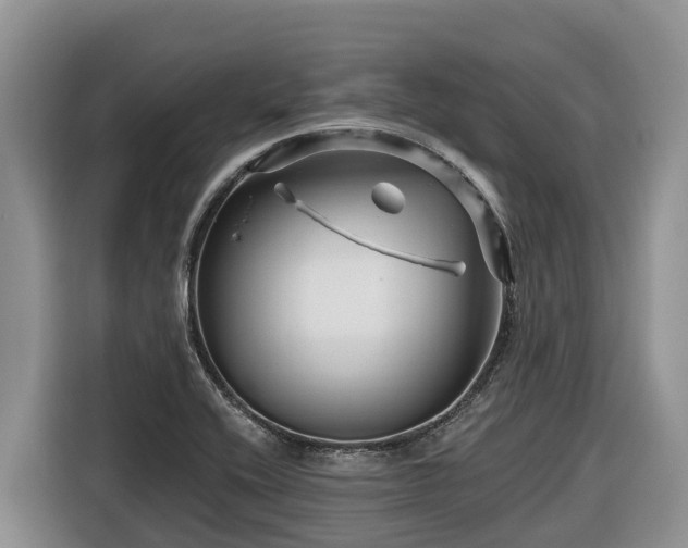 X0000116871416200912291310