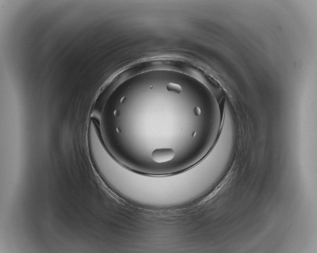 X0000116871417200912291310