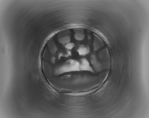 X0000116871419200912291310