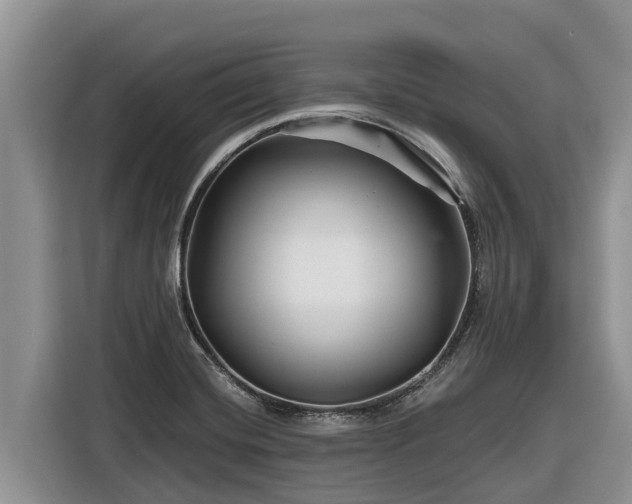 X0000116871420200912291310