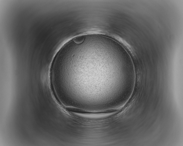 X0000116871423200912291311