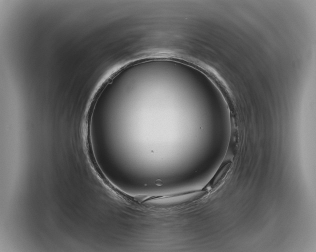 X0000116871424200912291311