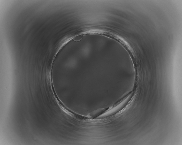 X0000116871425200912291311