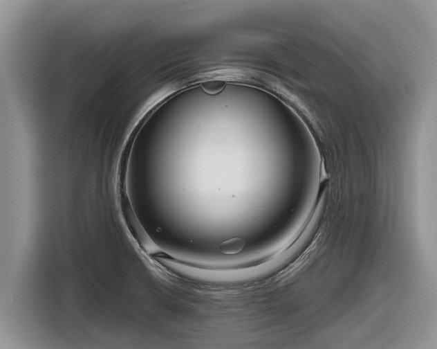 X0000116871426200912291311