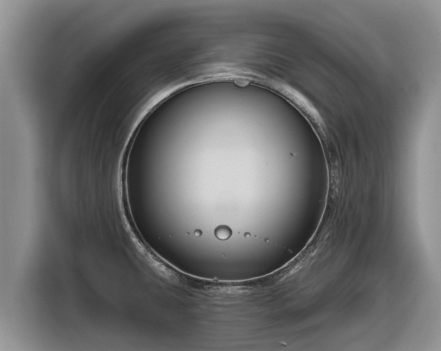 X0000116871431200912291311