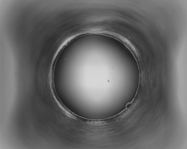 X0000116871432200912291311