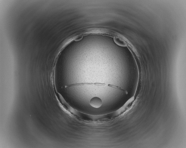 X0000116871433200912291311