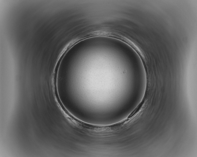 X0000116871434200912291311