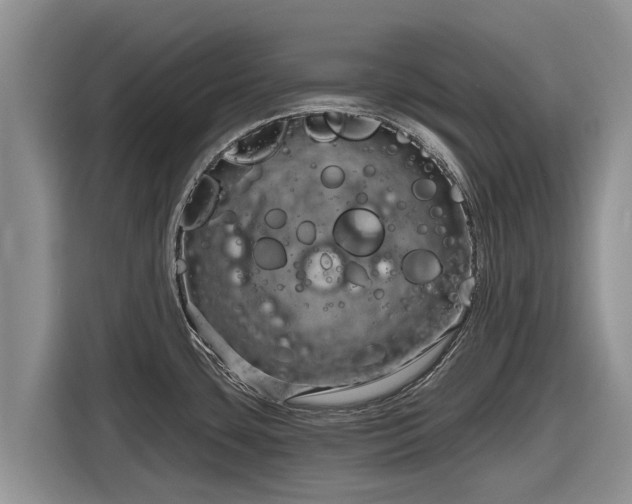 X0000116871435200912291311