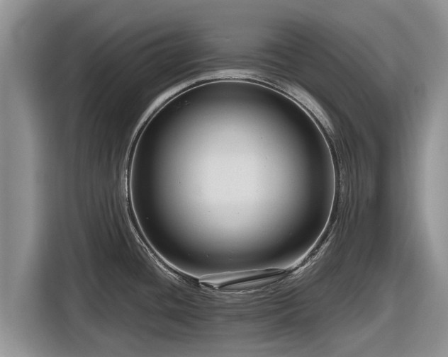 X0000116871436200912291311