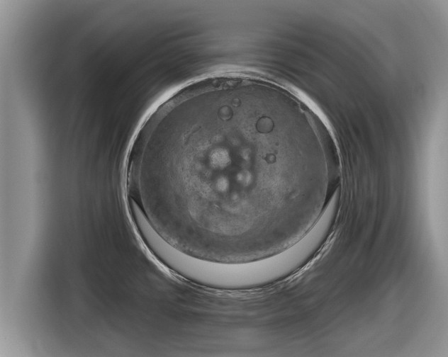 X0000116871437200912291311