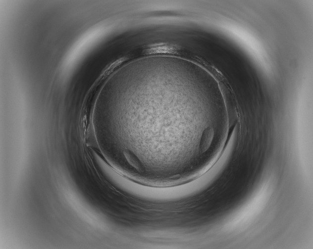 X0000116871438200912291311