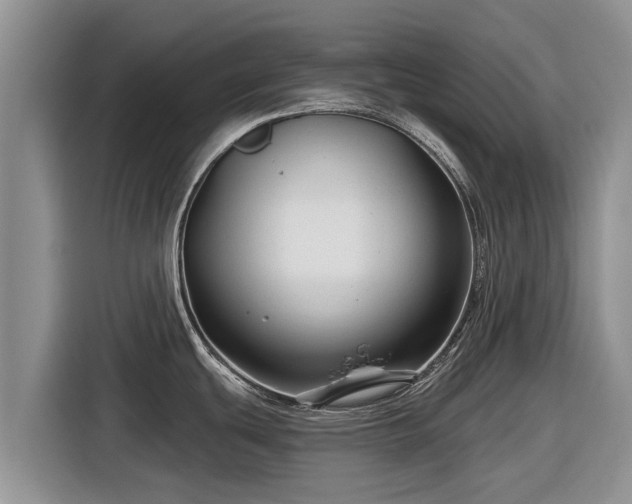 X0000116871439200912291311