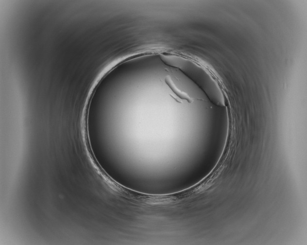 X0000116871440200912291311