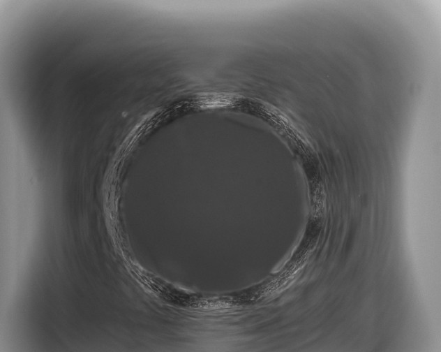 X0000116871441200912291310