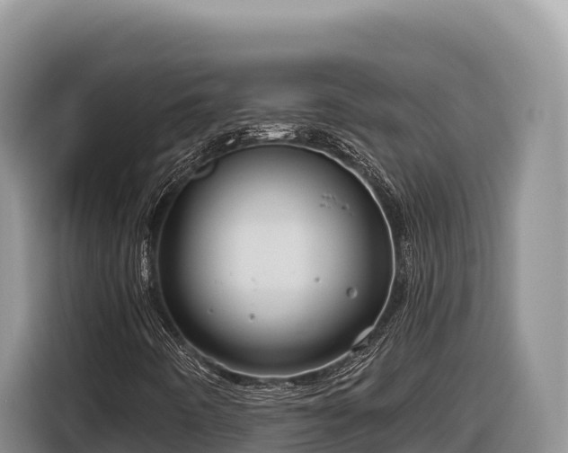 X0000116871442200912291310