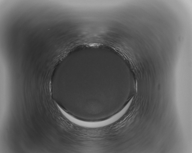 X0000116871443200912291310