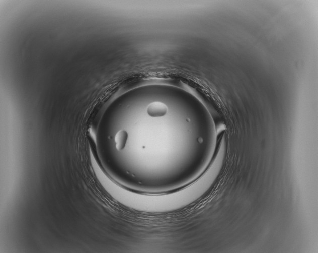 X0000116871444200912291310