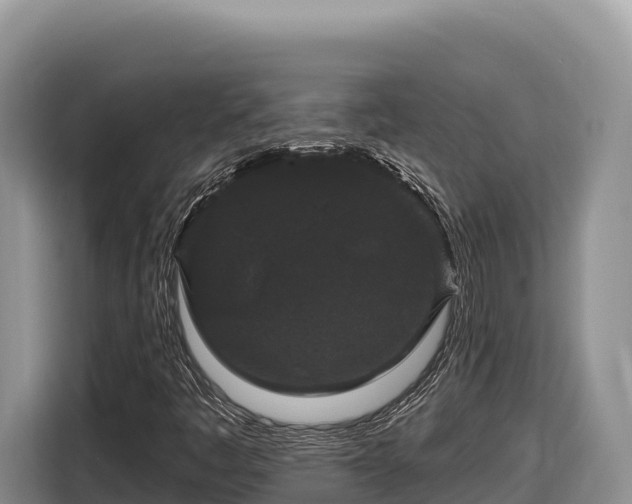 X0000116871445200912291310