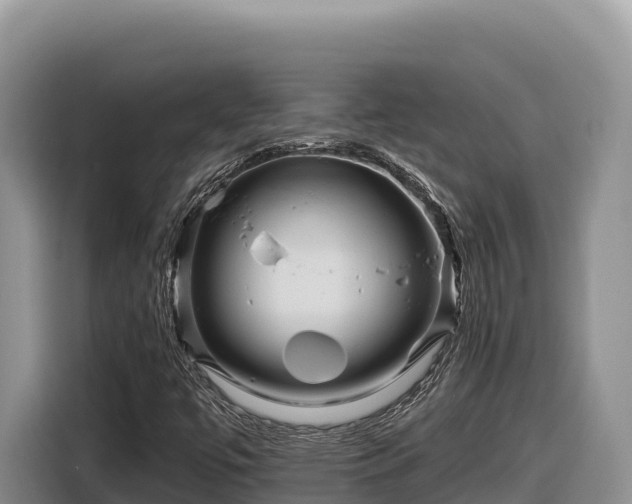 X0000116871447200912291310