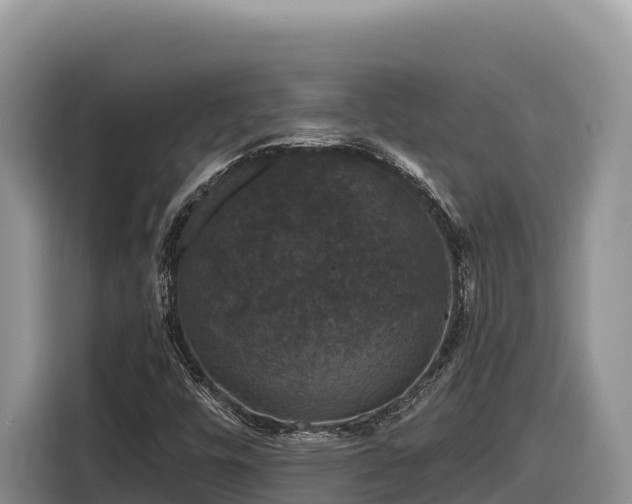 X0000116871448200912291310