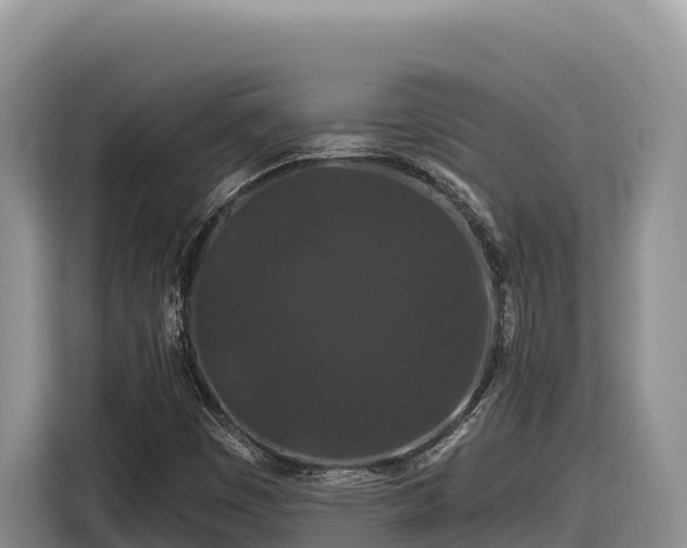 X0000116871449200912291310