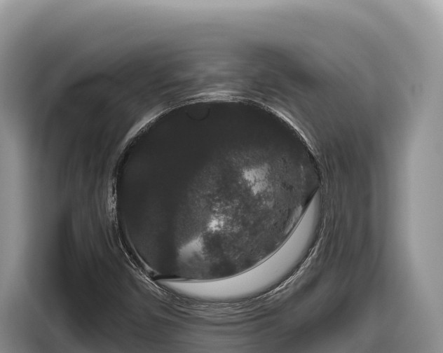 X0000116871450200912291310