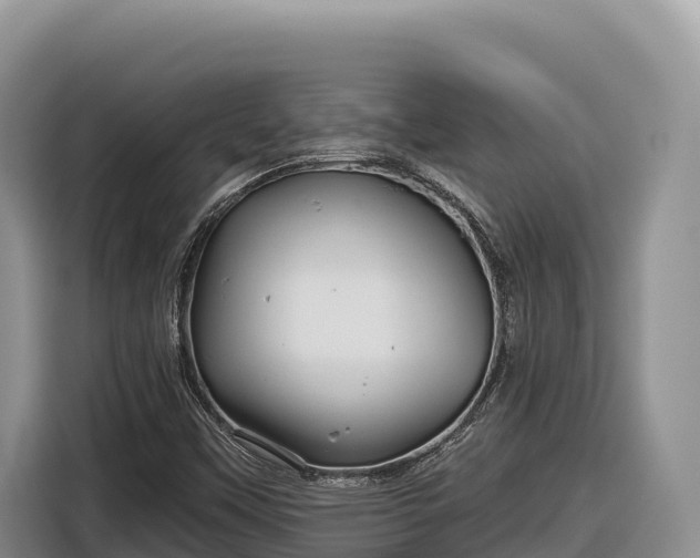 X0000116871451200912291310