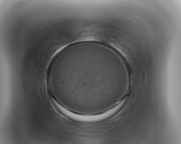X0000116871452200912291310