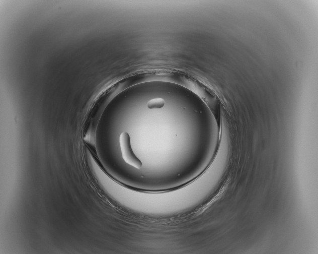 X0000116871453200912291310