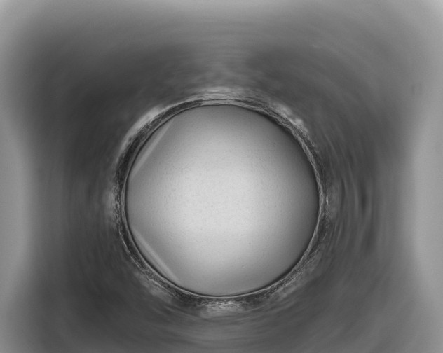 X0000116871454200912291310