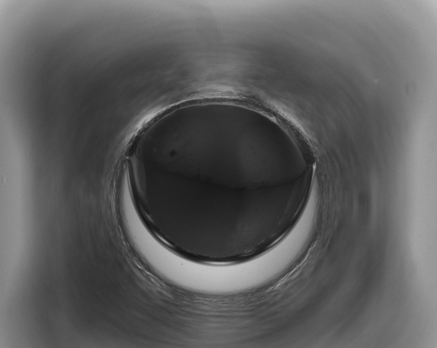 X0000116871455200912291310