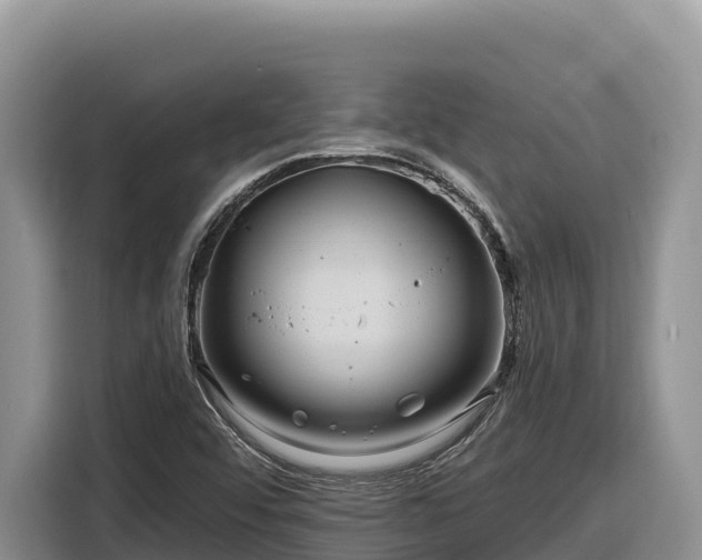 X0000116871456200912291310