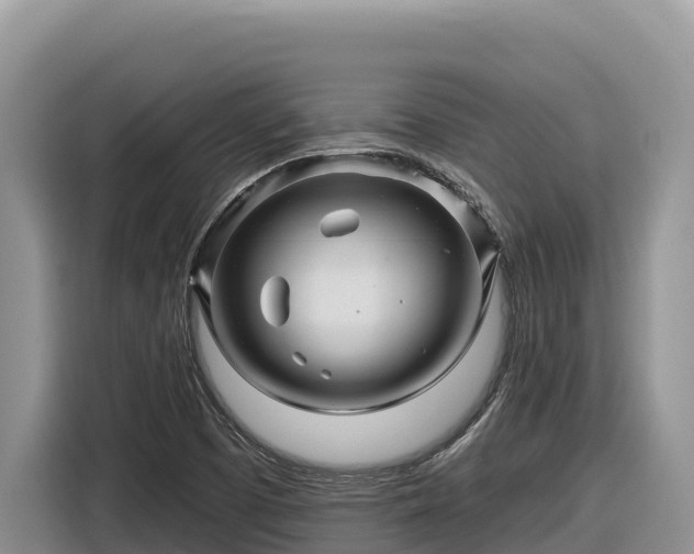 X0000116871457200912291310